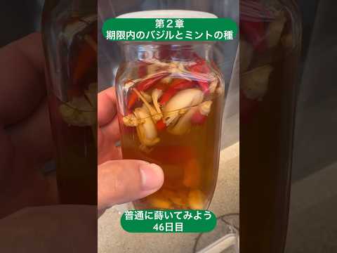 植物の中の小さな白い虫は何ですか?何が彼らを惹きつけるのでしょうか？それらを解消するための4つの自然療法  庭園