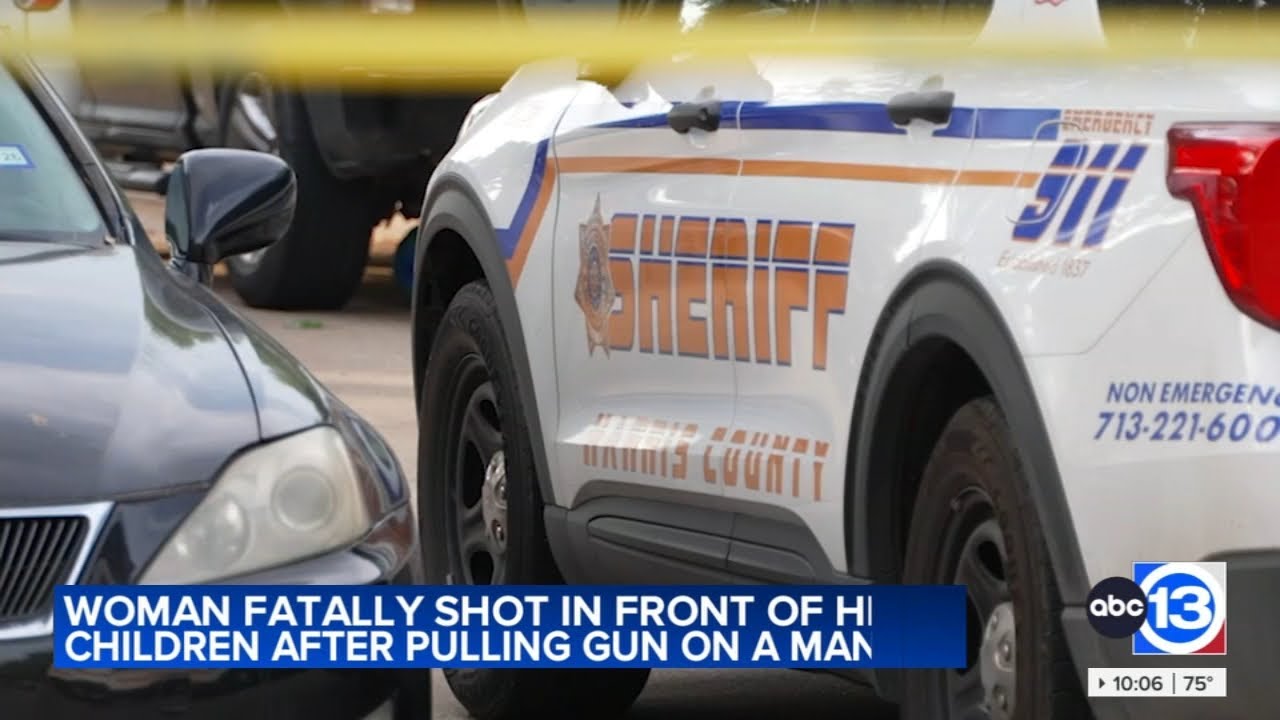 Mother shot and killed in front of her daughter, son after argument with another driver, HCSO says