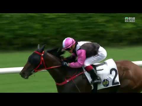 2022/23 (057) - Beauty Tycoon (美麗笑聲) - 巴度 (排好位早段留得順末段交得到順利贏馬)