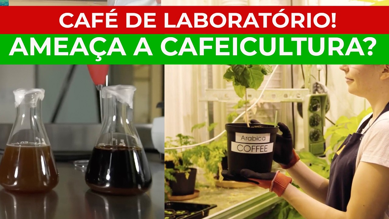 O CAFÉ DE LABORATÓRIO vai pegar o lugar do CAFÉ DE VERDADE? Fomos pesquisar e encontramos isso...