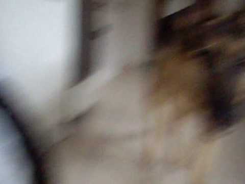 Taiba and Sookie in the kitchen