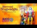 Shrimad Bhagwat Geeta Full In Hindi Shree Krishna All Chapters Audio Jukebox