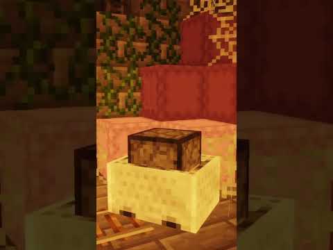 Found the witch's magic room in Minecraft