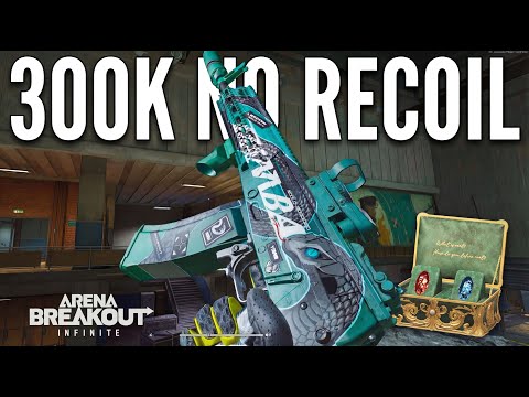 The BEST LOCKDOWN GUN BUILD in Arena Breakout Infinite
