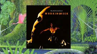 Working Week - Testify