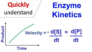 Enzyme kinetics