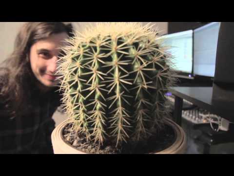 Gourski - Springtime [Cactus Meets Drum&Bass]