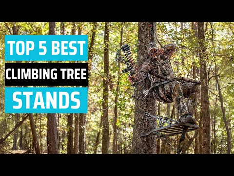 Best Climbing Tree Stands 2025 - [don’t buy one before watching this]