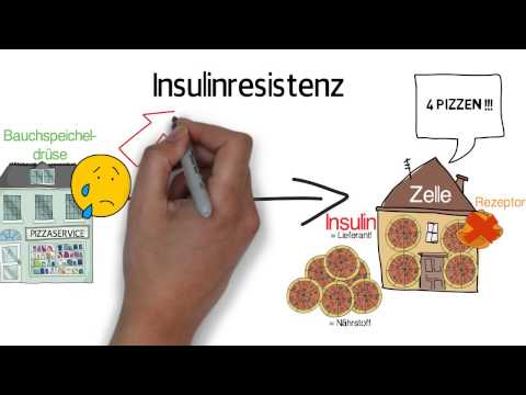 Insulin besser Bodybuilder Die Insulinabgabe des Gesetzes
