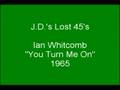 Ian Whitcomb - You Turn Me On