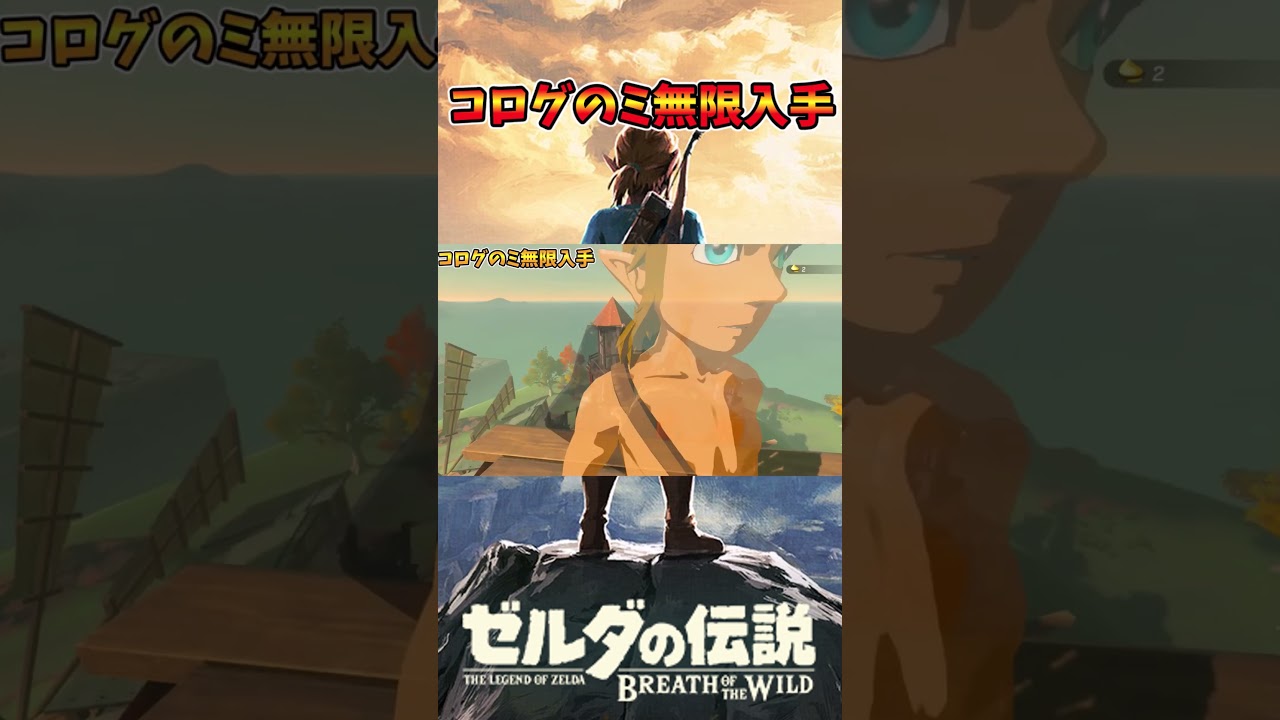 コログのミ無限入手 #ブレワイ