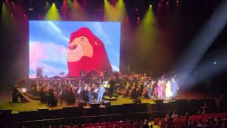 Circle Of Life ( The Lion King ) - DISNEY IN CONCERT A Dream IS A Wish