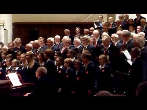 Projektchor 100 Männerstimmen - Die Hamburger Alsterspatzen - "We are the World"