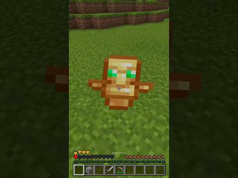 Always Help a dog in Need...🥺 #minecraft #shorts