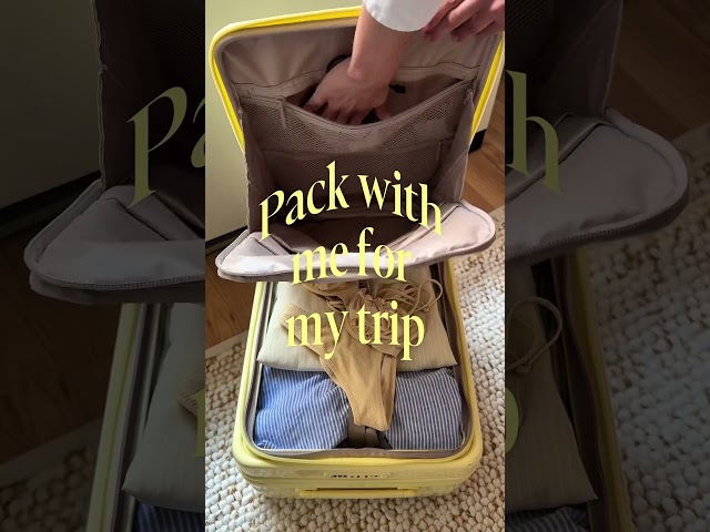 Suitcase brand UGC