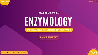 Mechanism of action of enzymes - Enzymology | Biochemistry