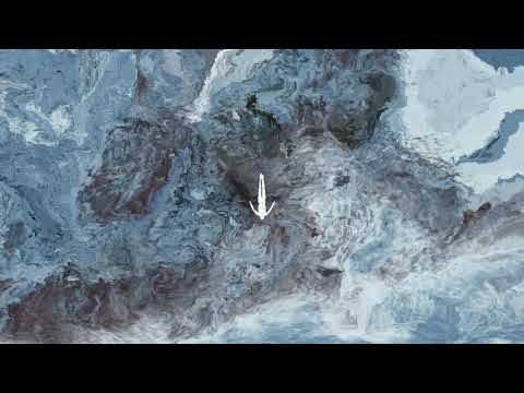 AL050 - Recondite - Bird