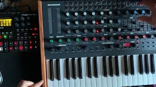 Video thumbnail for MFB DOMINION 1 SEQUENCED BY ELEKTRON DIGITAKT by leon nine