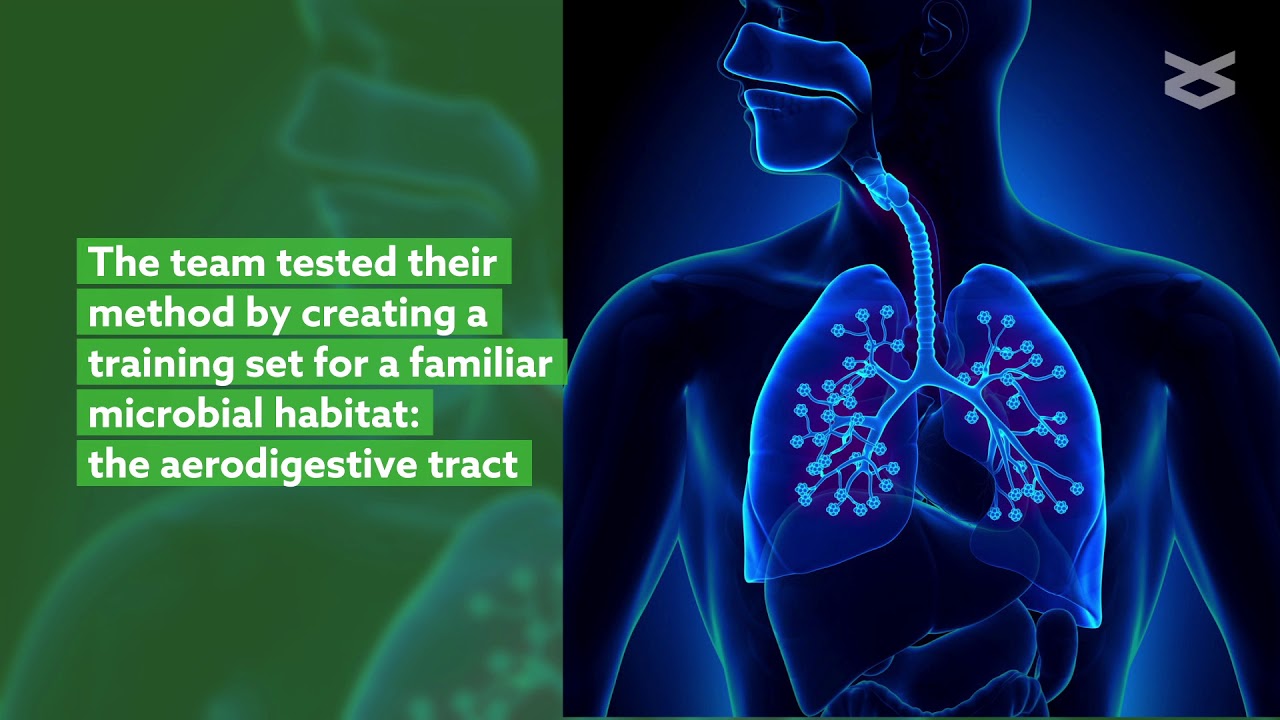 New method promises species-level assignment from algorithmic classifiers