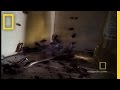 Cockroach Infestation | National Geographic Cockroach Infestation | National Geographic