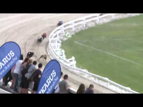 2022.06.16. 03. futam - Kincsem Park Sprint Derby Negyeddöntő III. futam