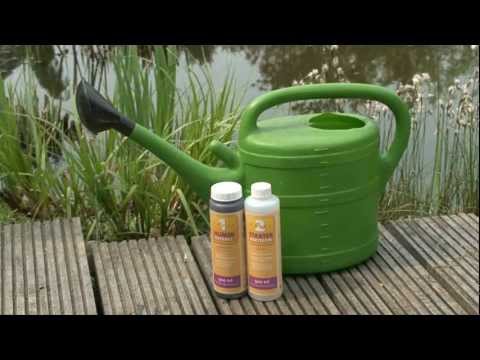 Aqua Start - Teichpflege für den Frühling