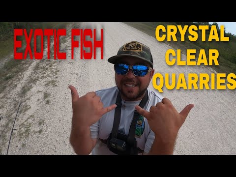 Fishing For EXOTIC Fish In Crystal Clear Quarries And BACK COUNTRY Canals!