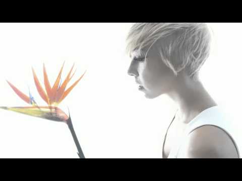 Kevin﻿ Wild feat. Kelly Sweet - Fire & Ice (Club Mix) (best audio)