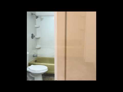Blueberry St 2021 -KR - Video 2 of 2