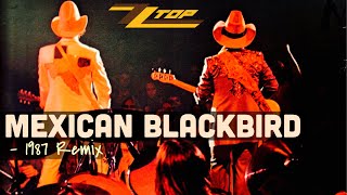 ZZ Top - Mexican Blackbird (1987 Six Pack Remix)