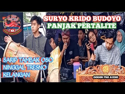 SURYO KRIDO BUDOYO# PANJAK PERTALITE# NGABUBURIT BARENG#  SARIP TAMBAK OSO