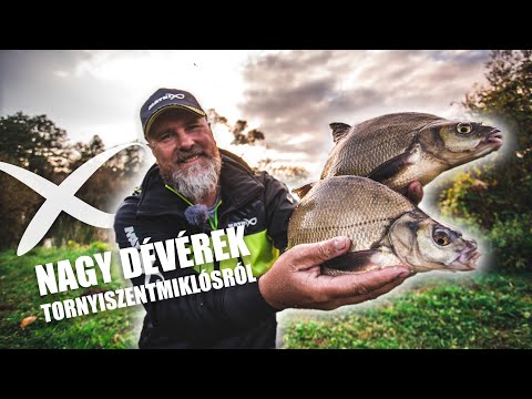 Hogyan horgásszunk a hatalmas dévérekre?