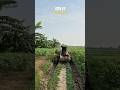 Samsung S24 FE 8K Video Sample Cinematic Clarity Shorts