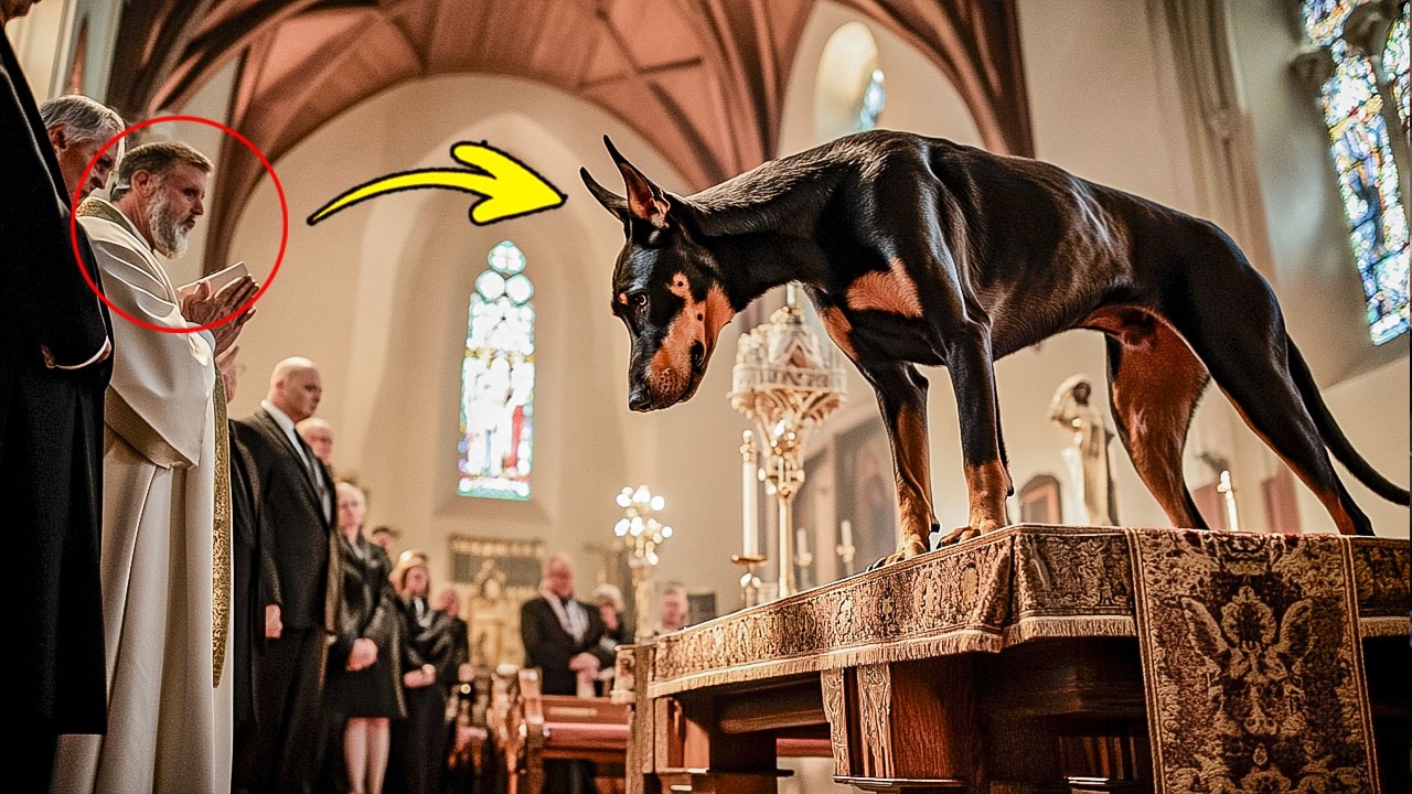Dog Invades Mass and Refuses to Leave, Priest Decides to Follow Him and Turns Pale When He Sees...