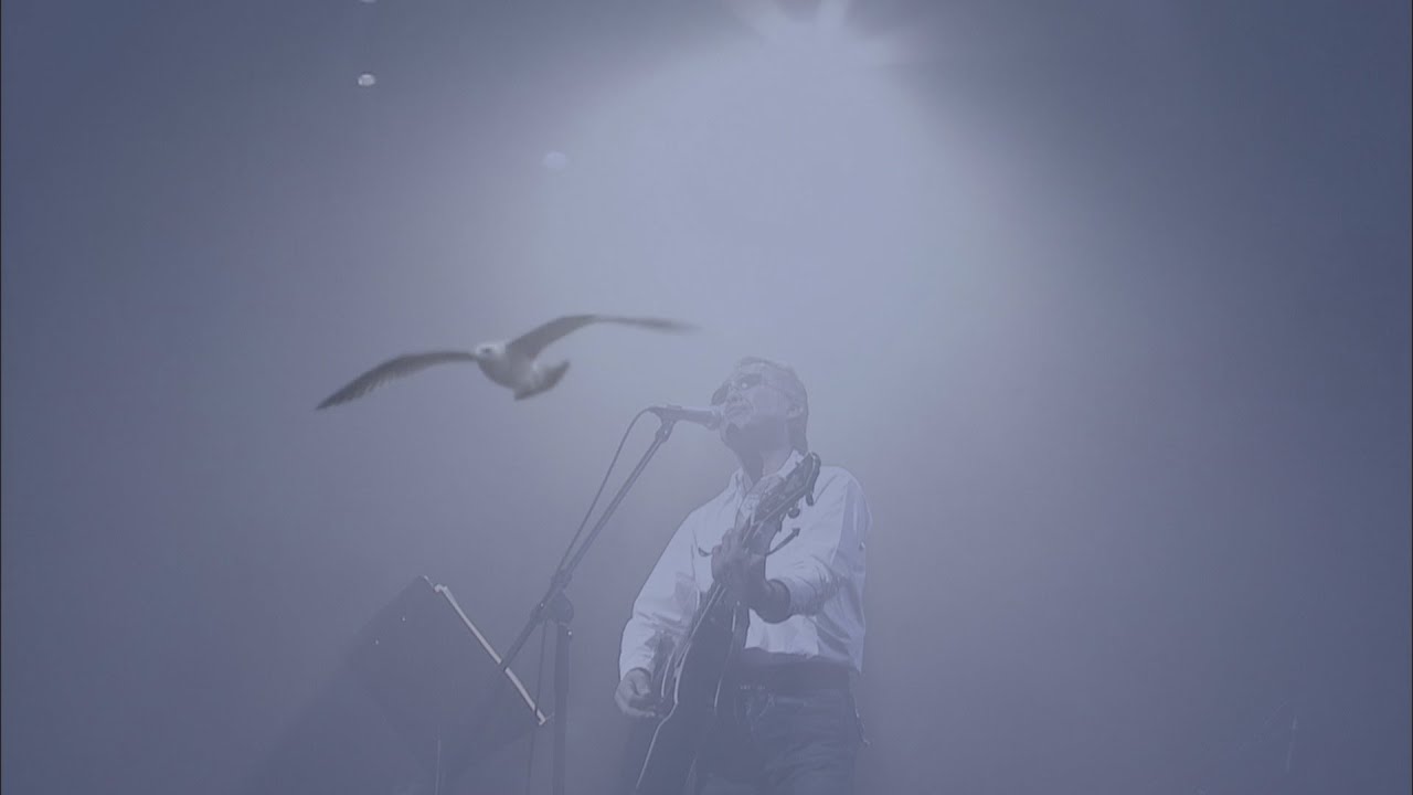 かもめの街 / 杉本真人