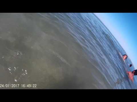 Auckland - Eastern beach