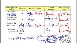 USMLE ACE Video 249: Genital Development Disorders: Genotypic and Phenotypic Variations