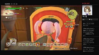 姉妹でDQB2に再挑戦！＃7