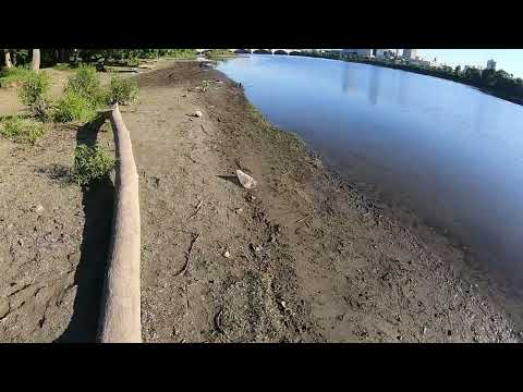 ProBoat UL-19,  96 mph on 7s, Prop by Plankton