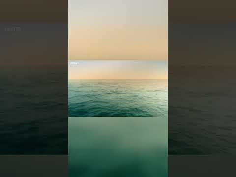 Eridania Basin  Mars' Ancient Water World Revealed