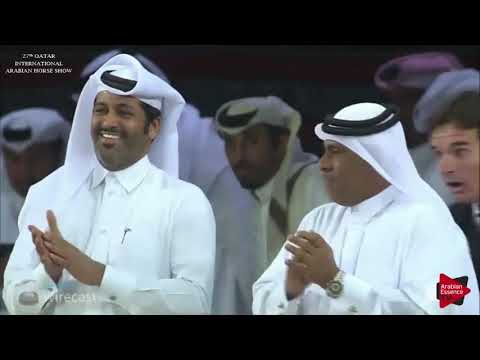 27th Qatar International Arabian Horse Show 2018 - Stallions ch.