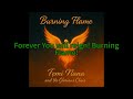 Burning Flame (Official Lyric Video)