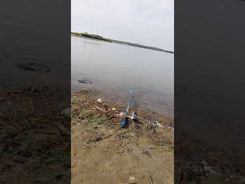 Кура, Ростовановское водохранилище