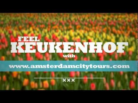 Feel Keukenhof Spring Gardens and Tulip Fields