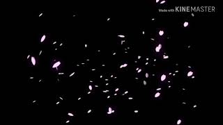 色は匂へど散りぬるをpv