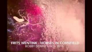 Frits Wentink - Horses in Cornfield (BODO003)