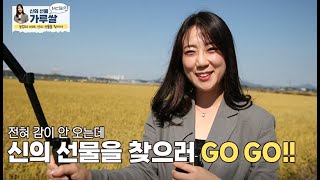 농업의 미래, 신의 선물을 찾아서 | 가루쌀 | 식량안보