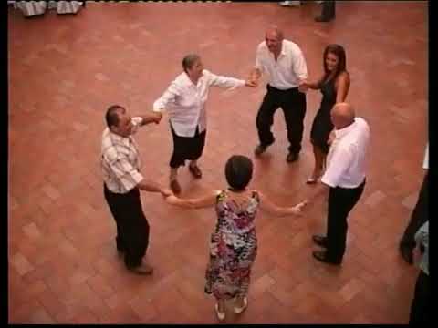 PETRICA MOISE SI VIRTUOZII BANATULUI   BOTEZ TIMISOARA   08   2009     YouTube