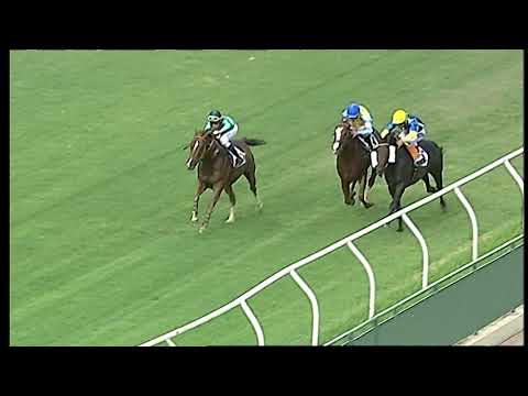 Napoli Galoppo 21/07/2021 - 1ª corsa