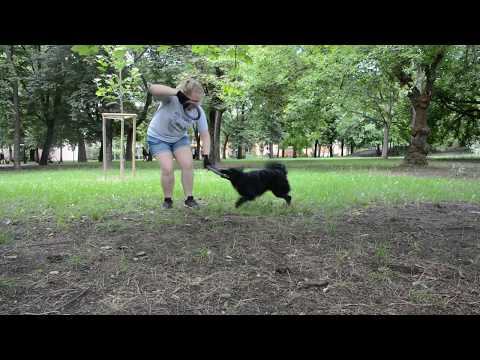 Töpi Online Puller Jumping verseny III 20200619